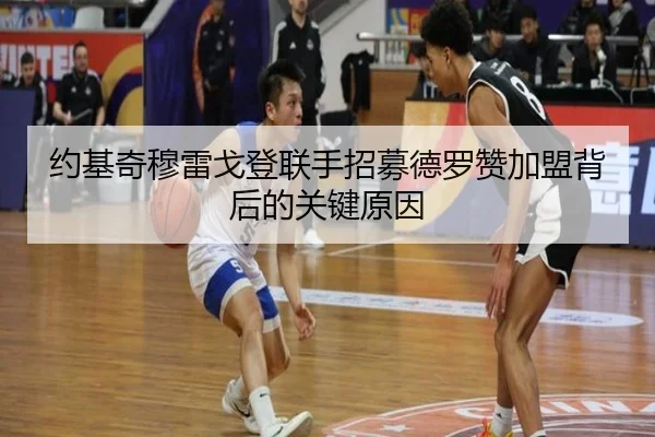 约基奇穆雷戈登联手招募德罗赞加盟背后的关键原因